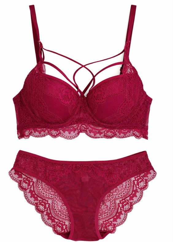 Барбарис з відростками, комплект, бордовий00-00000935-k